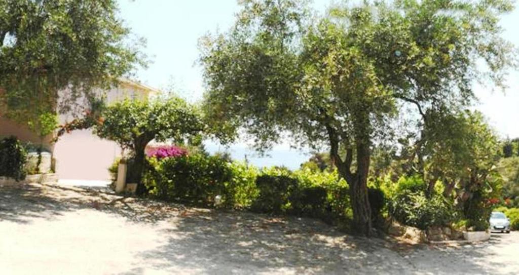 Apostolos & Eleni Family Apartments Perama  Extérieur photo